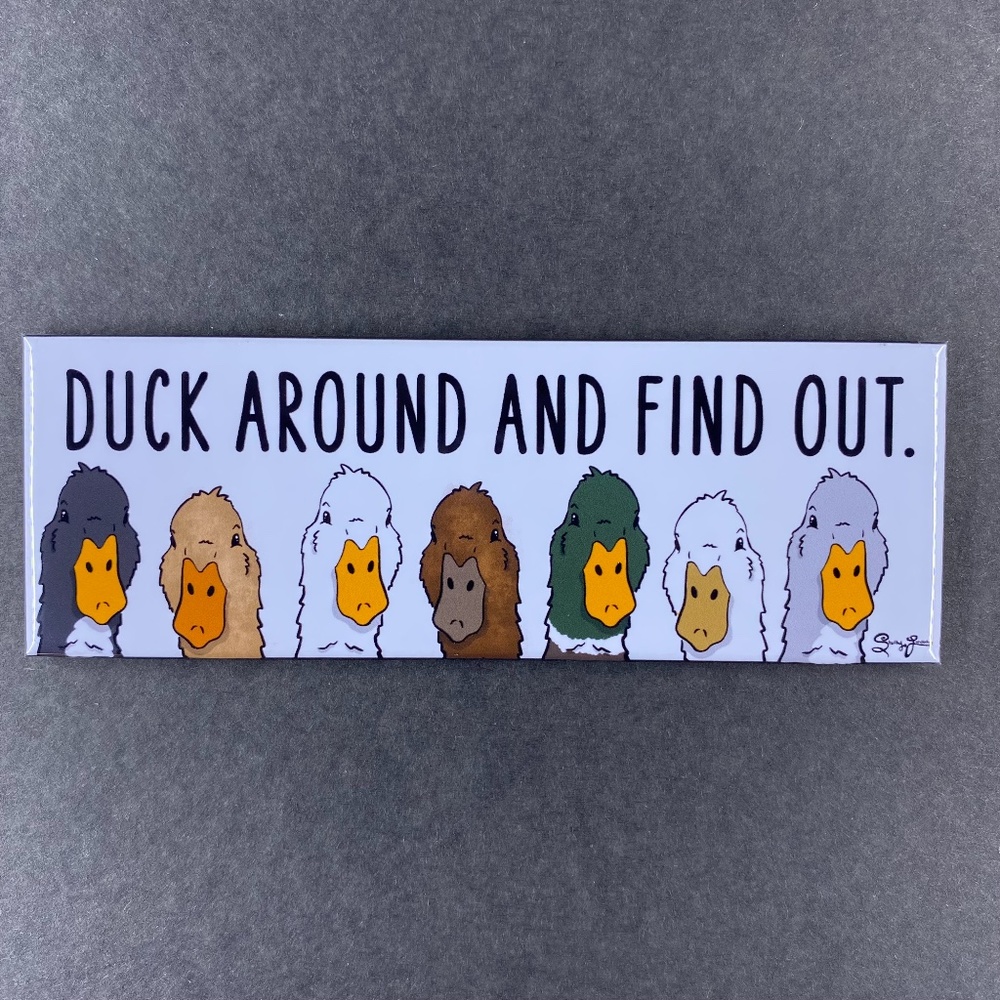 Funny Duck Magnet, Retro Farmhouse Pet Portrait Art Decor Gift Handmade 1.5x4.5"
